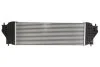 <strong>Інтеркулер THERMOTEC DA8001TT (фото 2)</strong>