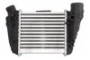 <strong>Інтеркулер THERMOTEC DAA002TT (фото 2)</strong>