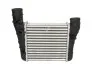 <strong>Інтеркулер THERMOTEC DAA003TT (фото 1)</strong>