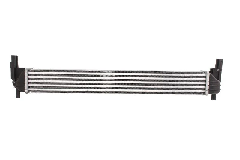 <strong>Інтеркулер THERMOTEC DAA005TT (фото 1)</strong>