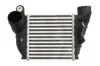 <strong>Інтеркулер THERMOTEC DAA008TT (фото 1)</strong>