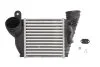 <strong>Інтеркулер THERMOTEC DAA009TT (фото 1)</strong>