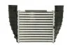 <strong>Інтеркулер THERMOTEC DAA016TT (фото 1)</strong>