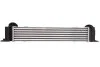 <strong>Інтеркулер THERMOTEC DAB003TT (фото 2)</strong>