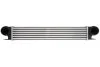 <strong>Інтеркулер THERMOTEC DAB006TT (фото 1)</strong>