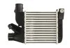 <strong>Інтеркулер THERMOTEC DAB021TT (фото 1)</strong>