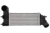 <strong>Інтеркулер THERMOTEC DAC005TT (фото 1)</strong>
