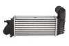 <strong>Інтеркулер THERMOTEC DAC005TT (фото 2)</strong>