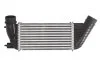 <strong>Інтеркулер THERMOTEC DAC006TT (фото 1)</strong>