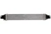 <strong>Інтеркулер THERMOTEC DAC008TT (фото 1)</strong>