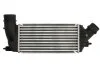 <strong>Інтеркулер THERMOTEC DAC011TT (фото 1)</strong>