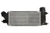 <strong>Інтеркулер THERMOTEC DAC011TT (фото 2)</strong>