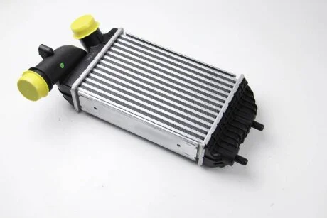 Інтеркулер для Fiat, Citroen, Peugeot THERMOTEC DAF001TT фото товару