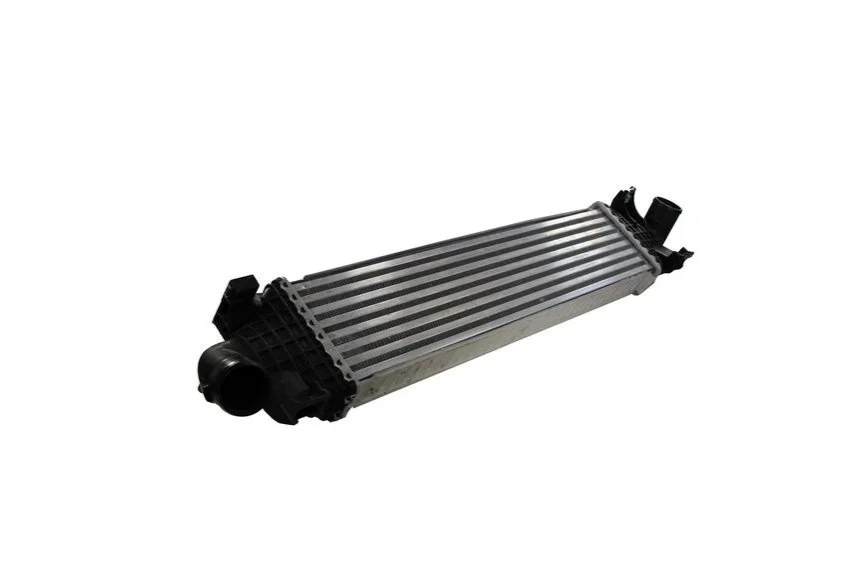 <strong>Радіатор THERMOTEC DAG002TT (фото 1)</strong>