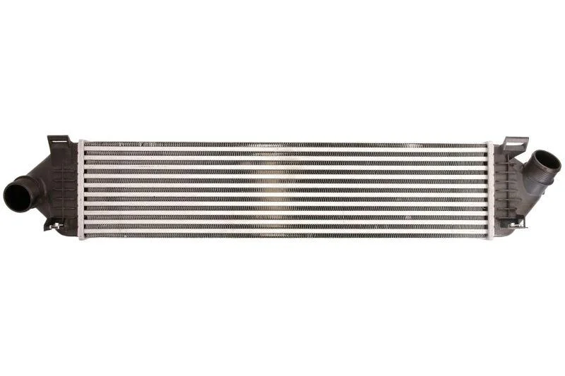<strong>Інтеркулер THERMOTEC DAG013TT (фото 1)</strong>