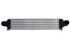 <strong>Інтеркулер THERMOTEC DAI001TT (фото 2)</strong>