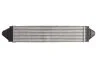 <strong>Інтеркулер THERMOTEC DAI002TT (фото 2)</strong>