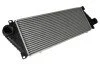 <strong>Інтеркулер THERMOTEC DAM001TT (фото 1)</strong>