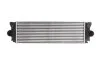 <strong>Інтеркулер THERMOTEC DAM006TT (фото 1)</strong>