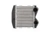 <strong>Інтеркулер THERMOTEC DAM012TT (фото 1)</strong>