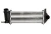 <strong>Інтеркулер THERMOTEC DAM019TT (фото 1)</strong>