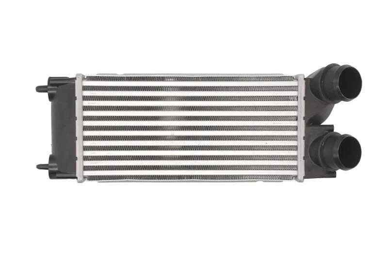 <strong>Інтеркулер THERMOTEC DAP002TT (фото 1)</strong>