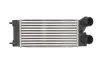 <strong>Інтеркулер THERMOTEC DAP002TT (фото 1)</strong>