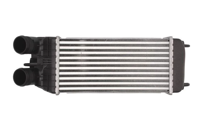 <strong>Інтеркулер THERMOTEC DAP003TT (фото 1)</strong>