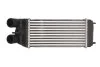 <strong>Інтеркулер THERMOTEC DAP003TT (фото 1)</strong>