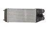 <strong>Інтеркулер THERMOTEC DAP003TT (фото 2)</strong>