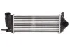 <strong>Радіатор інтеркулера THERMOTEC DAR006TT (фото 1)</strong>