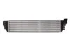 <strong>Інтеркулер THERMOTEC DAR008TT (фото 2)</strong>