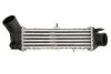 <strong>Інтеркулер THERMOTEC DAT002TT (фото 1)</strong>