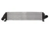 <strong>Інтеркулер THERMOTEC DAV004TT (фото 1)</strong>