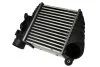 <strong>Інтеркулер THERMOTEC DAW001TT (фото 1)</strong>