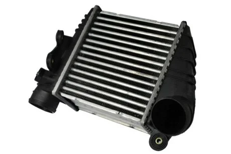 Інтеркулер для Audi, Volkswagen, Skoda, Seat THERMOTEC DAW001TT фото товару