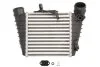 <strong>Інтеркулер THERMOTEC DAW006TT (фото 1)</strong>