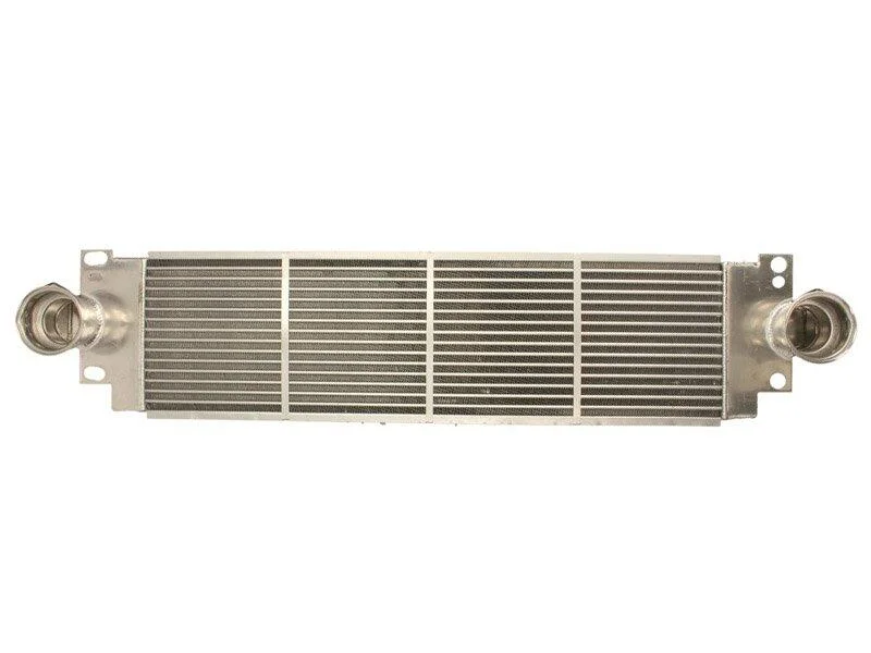 <strong>Інтеркулер THERMOTEC DAW007TT (фото 1)</strong>