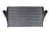<strong>Інтеркулер THERMOTEC DAX002TT (фото 1)</strong>