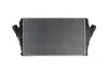 <strong>Інтеркулер THERMOTEC DAX002TT (фото 2)</strong>