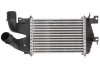 <strong>Інтеркулер THERMOTEC DAX007TT (фото 1)</strong>