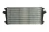<strong>Інтеркулер THERMOTEC DAX013TT (фото 1)</strong>