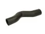 <strong>Патрубок інтеркулера THERMOTEC DCG124TT (фото 1)</strong>