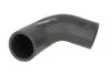 <strong>Патрубок інтеркулера THERMOTEC DCG135TT (фото 1)</strong>