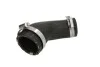 <strong>Патрубок інтеркулера THERMOTEC DCG180TT (фото 1)</strong>