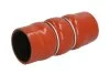 <strong>Патрубок інтеркулера THERMOTEC DCP021TTS (фото 1)</strong>