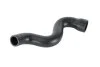 <strong>Патрубок інтеркулера THERMOTEC DCW019TT (фото 1)</strong>