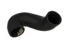 <strong>Патрубок інтеркулера THERMOTEC DCW032TT (фото 1)</strong>