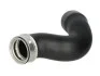 <strong>Патрубок інтеркулера THERMOTEC DCW102TT (фото 1)</strong>