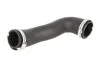 <strong>Патрубок інтеркулера THERMOTEC DCW157TT (фото 1)</strong>